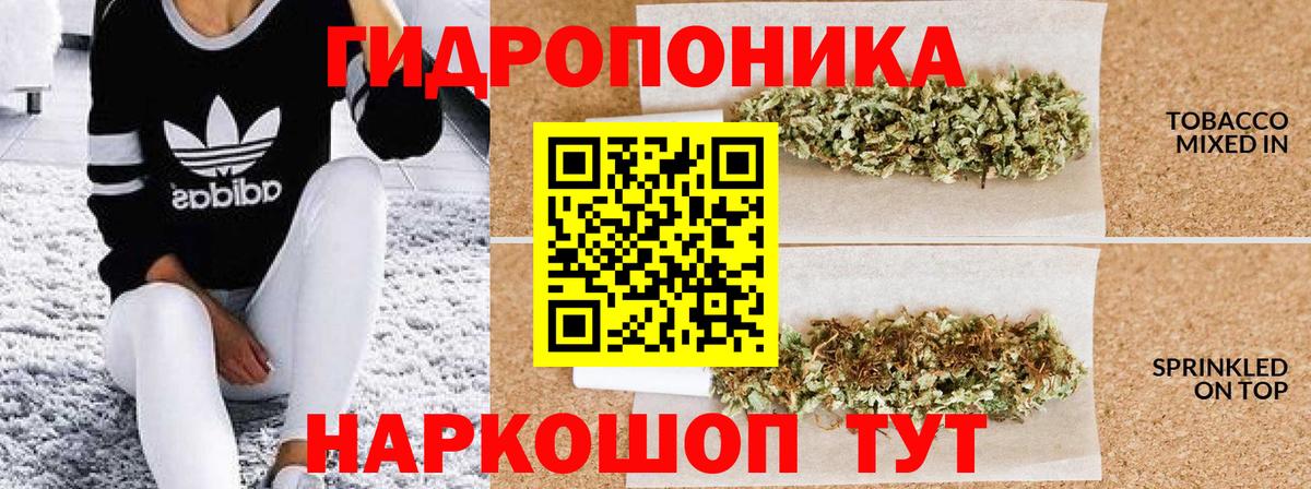 МАРИХУАНА сатива  Канабис план  Вход с VPN  Марихуана Ganja  Мариинск  Конопля сатива 